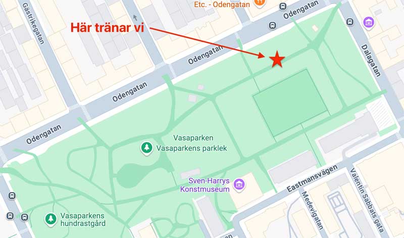 Karta över Vasaparken där vi samlas för fallträning på sommaren.