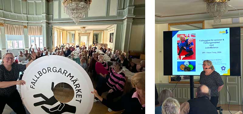 Föredrag om fallprevention för pensionärer i Falun.